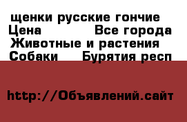 щенки русские гончие › Цена ­ 4 000 - Все города Животные и растения » Собаки   . Бурятия респ.